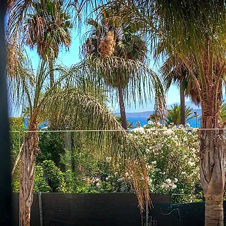 Palm Hotel